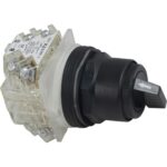 Interruptor selector